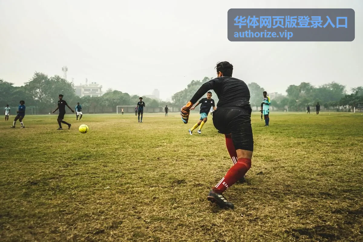 华体网页版登录入口验证码校验与登录成功跳转示意